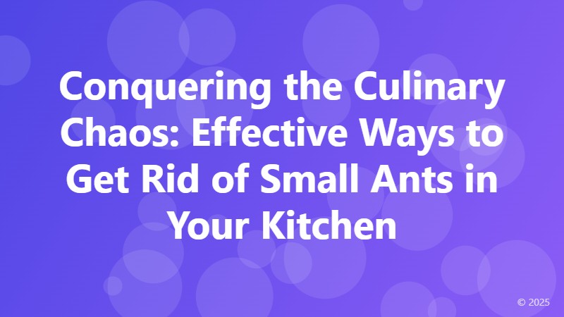 Conquering the Culinary Chaos: Effective Ways to Get Rid of Small Ants in Your Kitchen