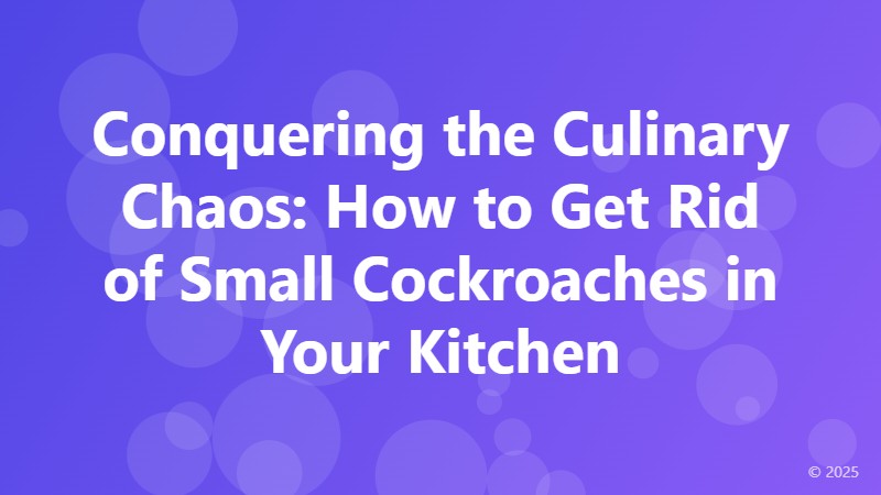 Conquering the Culinary Chaos: How to Get Rid of Small Cockroaches in Your Kitchen