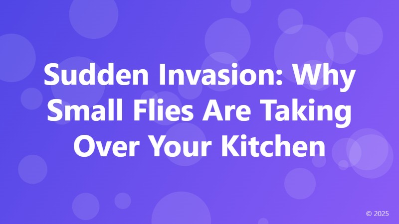 Sudden Invasion: Why Small Flies Are Taking Over Your Kitchen