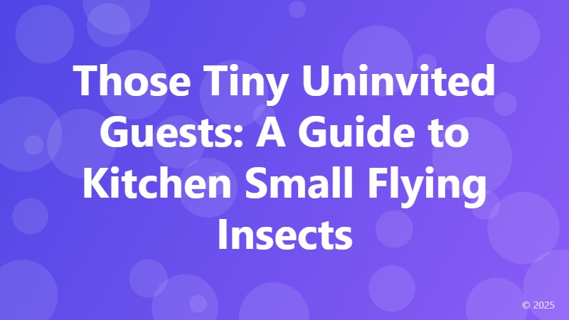 Those Tiny Uninvited Guests: A Guide to Kitchen Small Flying Insects