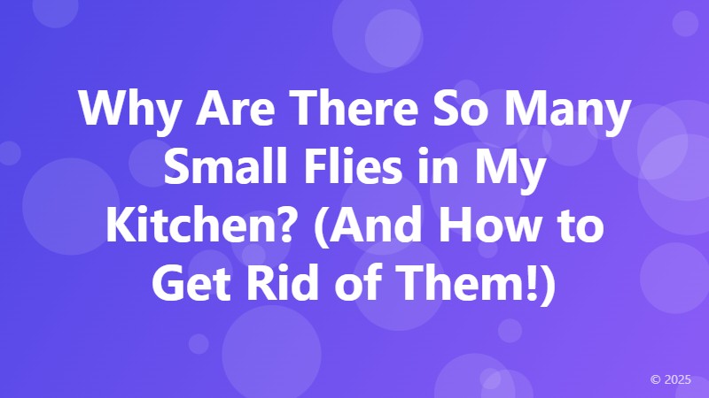 Why Are There So Many Small Flies in My Kitchen? (And How to Get Rid of Them!)